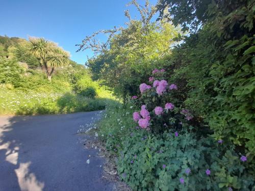 Higher Orchard