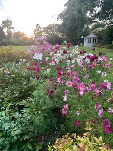 Dalton House Bed And Breakfast