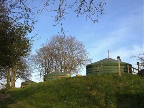 West Wood Yurts Ltd
