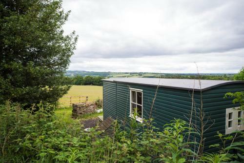 West Wood Yurts Ltd