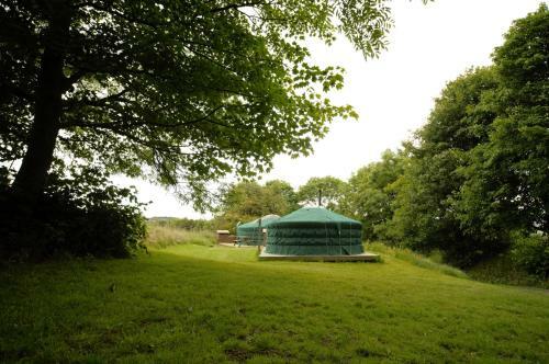 West Wood Yurts Ltd