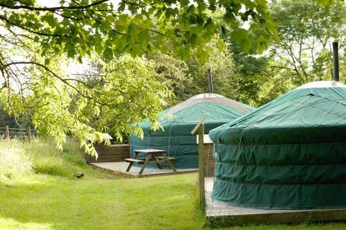 West Wood Yurts Ltd