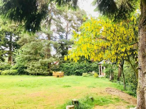 Apartamento The Beeches Studio, Highlands Of Scotland