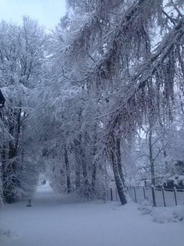 Apartamento The Beeches Studio, Highlands Of Scotland