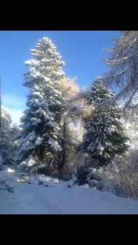Apartamento The Beeches Studio, Highlands Of Scotland
