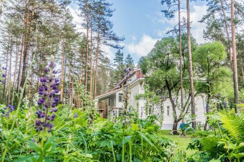 Hotel Raivola
