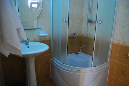 Hotel Vila Casa Leul