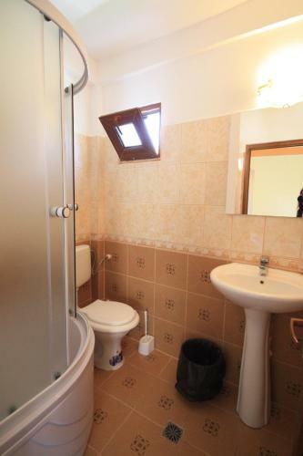 Hotel Vila Casa Leul