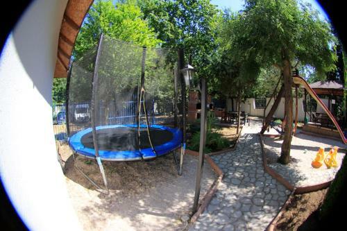 Hotel Vila Casa Leul