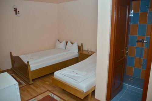 Hostal Pensiunea La Palaguta