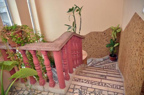 Hostal Pensiunea La Palaguta