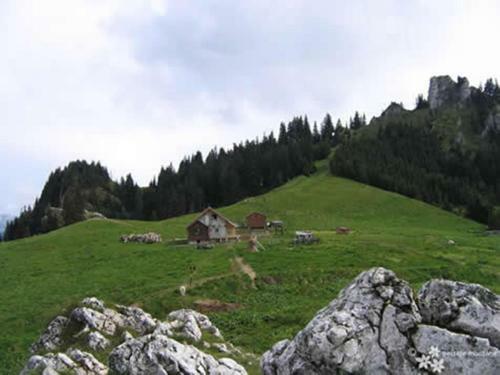 Hostal Pension Cremona