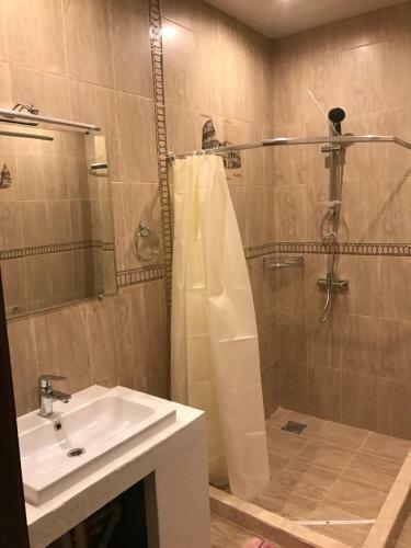 Hotel Luzhsky Bereg