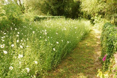 Bowgie At Trewerry Cottages - Away From It All, Close To Everywhere