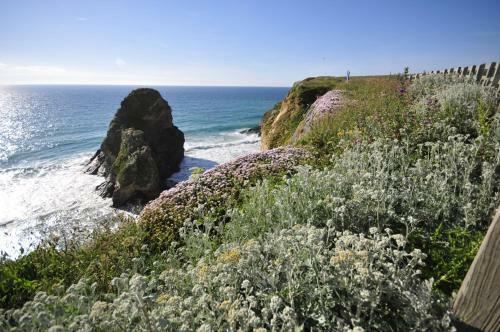 Surf View Apartment, Newquay