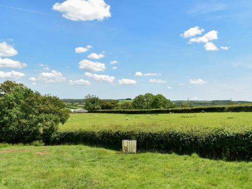 Well Farm Cottage - Uk11879
