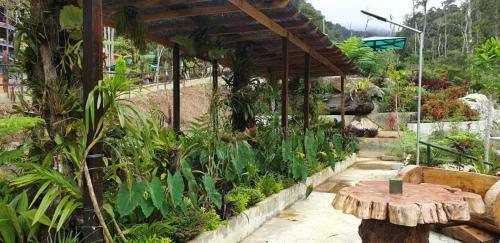 D'la Sri Cottage Bilik2 Noah