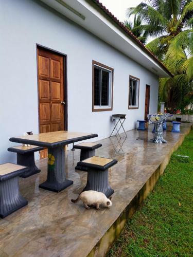 Homestay Murah Kuala Besut