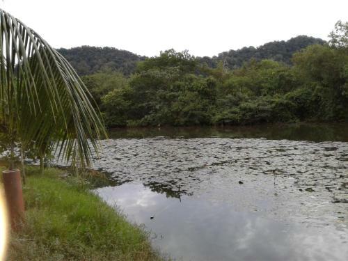 Homestay Seri Nipah Perlis