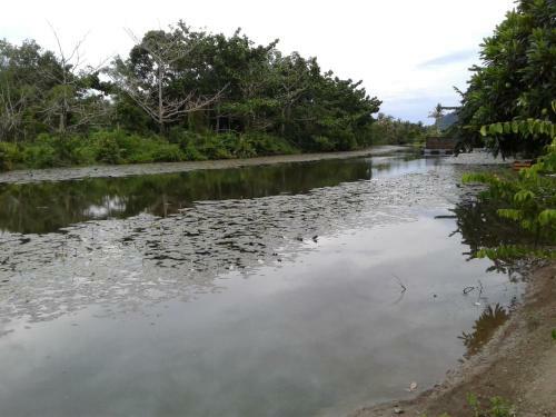 Homestay Seri Nipah Perlis