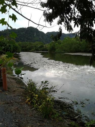 Homestay Seri Nipah Perlis