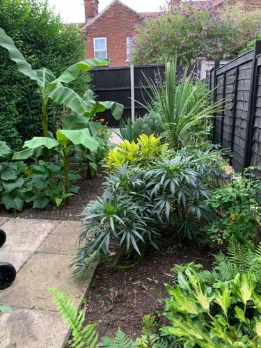 Beautiful Two Bed Victorian Terrace House