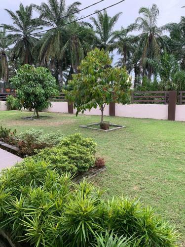 The Garden Homestay