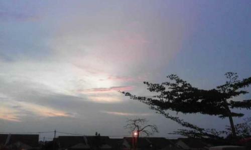 Wany Homestay