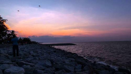 Pcb Homestay