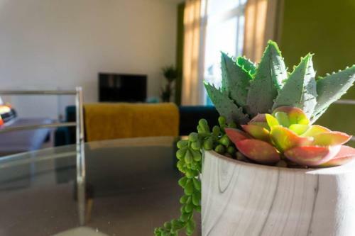 Apartamento Nazareth Court
