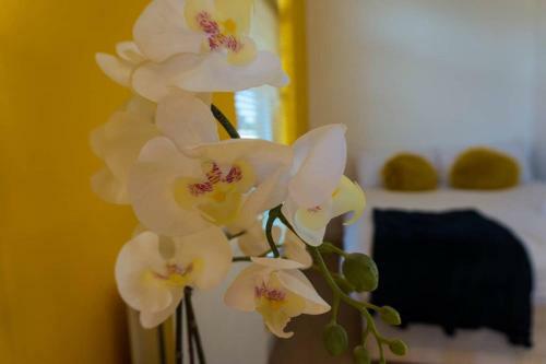 Apartamento Nazareth Court