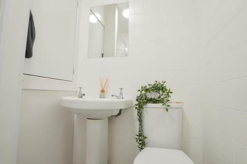 Apartamento Mccaig's Way