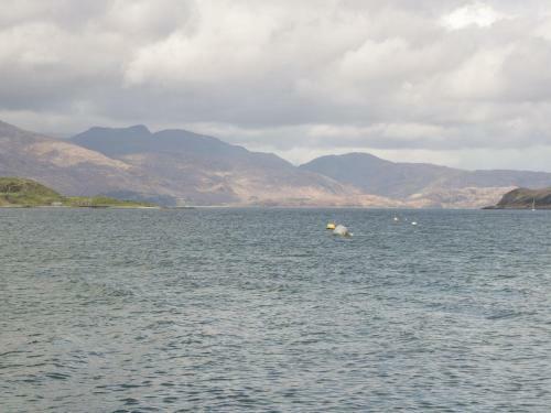 Tirlaggan House