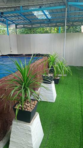 Homestay 3 Bilik Fully Aircond Netflix Private Pool