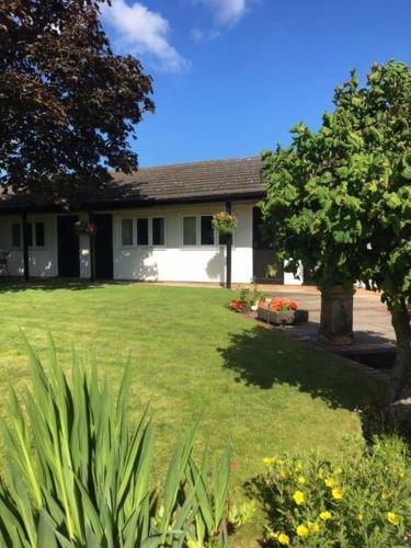 Hostal Primrose Cottage Rooms