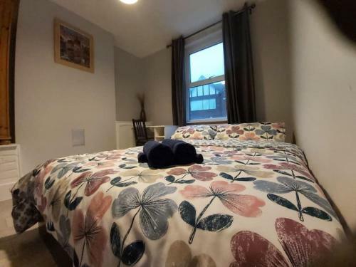 Apartamento Orpington Rsg House