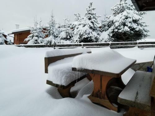 Hotel Des Alpes