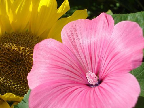 Agroturismo H�uslerhof