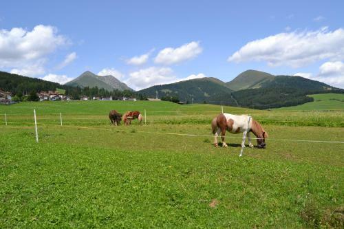 Agroturismo H�uslerhof