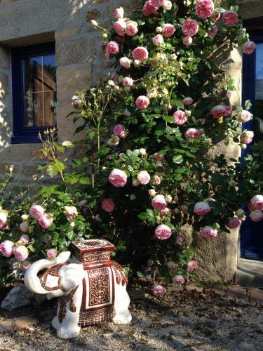 Bed & Breakfast Le Domaine De Saint-thomin