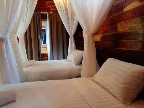 Lodge Utan Teluk Nipah