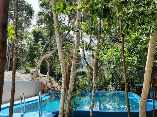 Lodge Utan Teluk Nipah
