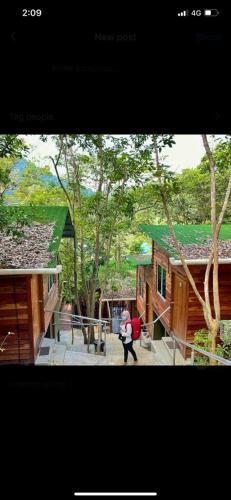 Lodge Utan Teluk Nipah