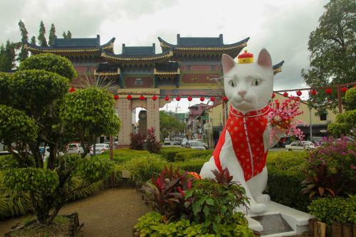 Hostal Marco Polo Guest House