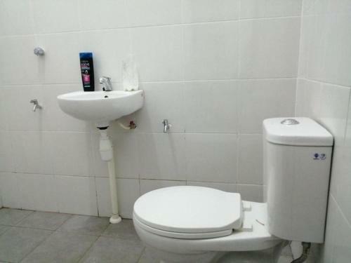 Hostal Room In Guest Room - Single Bed In Mixed Dormitory Room With AC
