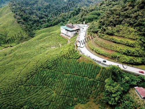 Apartamento Cameron Highlands Lovetostay