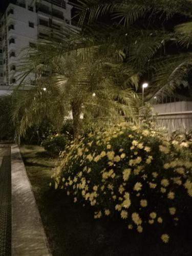 Apartamento Icolor Home & Stay Ch5