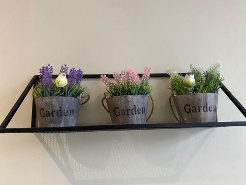 Cameron Highlands Apartment Hl
