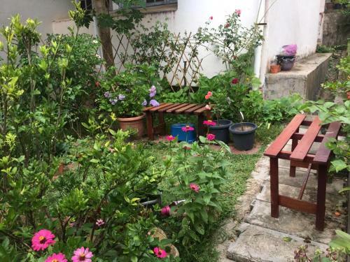 Apartamento Bukit Tinggi Fuchsia Hillhomes