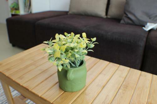 Apartamentos Strawberry Homestay
